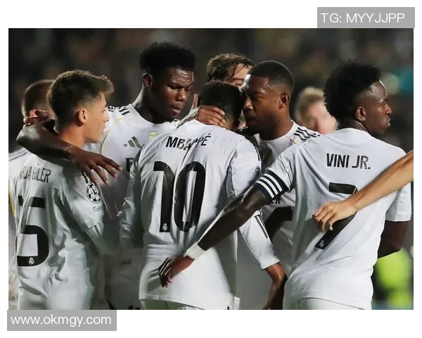 多特蒙德球迷暴力事件引发欧冠禁赛及巨额罚款风波