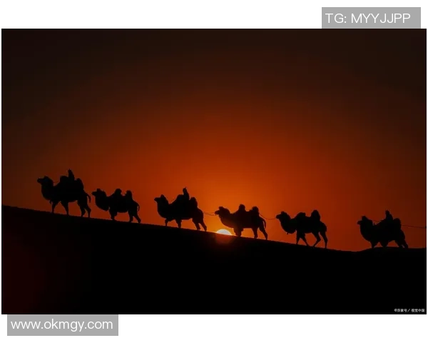 探索阿拉巴的魅力与文化遗产,感受这片土地的独特风情与历史底蕴 探索阿拉巴的魅力与文化遗产,感受这片土地的独特风情与历史底蕴