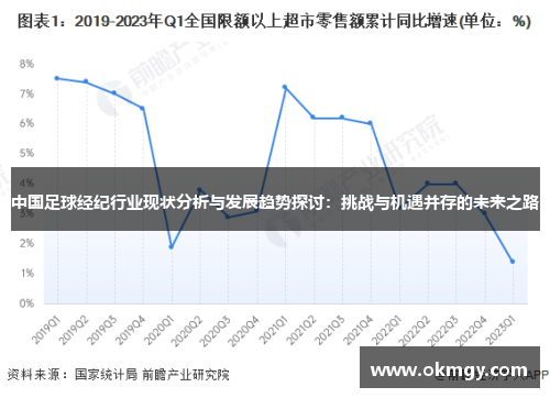 中国足球经纪行业现状分析与发展趋势探讨：挑战与机遇并存的未来之路