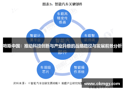 哈斯中国：推动科技创新与产业升级的战略路径与发展前景分析